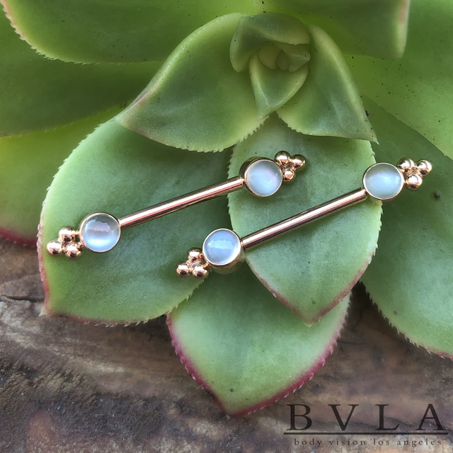Bezel Barbell with Tribead (RG)